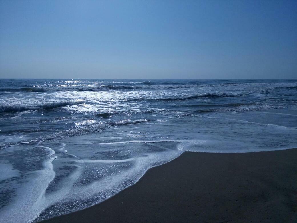 פלורי Terrasses De La Mediterranee מראה חיצוני תמונה